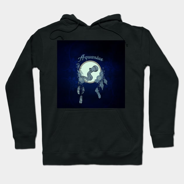 Zodiac sings aquarius Hoodie by Nicky2342